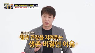 좋은 콜레스테롤 HDL을 높이는 혈관 청소부 ✦폴리코사놀✦ TV CHOSUN 221025 방송 | [위기탈출 생존왕] 3회 | TV조선