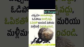 ఓపిక పట్టి చూడు చాలా నేర్చుకుంటావ్#shortvideo #telugu