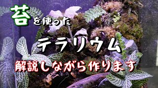 何かを今後飼育する予定のテラリウム作ります