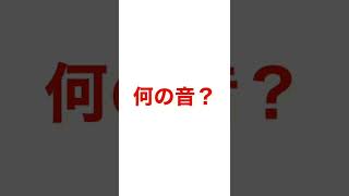 この音何の音か分かるかな？5秒で出来る絶対音感テスト！