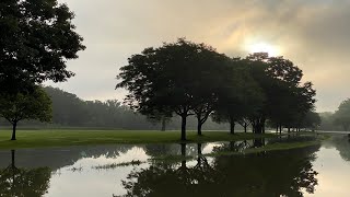 Hines Park: Flooding after the Storm