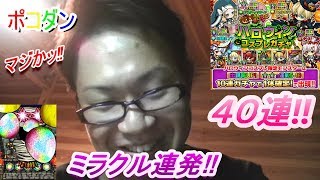 【ポコダン】２４話ハロウィンコスプレガチャ４０連‼