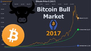 The Bitcoin Bull Market of 2017 Visualized!!