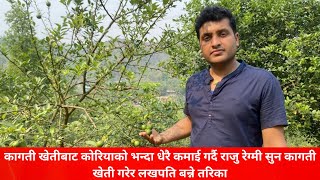 कागती खेती गरेर कोरियाको कमाई  Lemon Farming in Nepal कागती खेती गर्ने तरिका सुन जस्तै सुन कागती