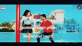 Bhojpuri slowed and reverb jawaniya mein ghoon lag slowed song || Pawan sing ||slowed and reverb..