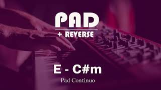 Pad + Reverse em E - C#m(Dbm) | 30 Minutos |