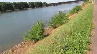 Walk along the Rhine River in Lahnstein Germany - der Rhein 06