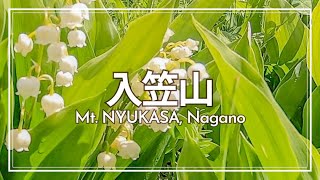 【June】Mt. Nyusaka with lots of lily of the valley plants!【Travel Vlog】