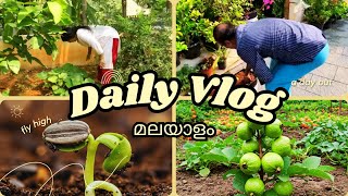 Garden Life: A Day in Paradise തോട്ടത്തിലെ ഒരു ദിവസം