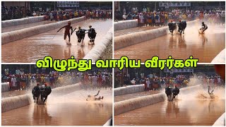 கம்பளா ஆடிய எருமைகள் |விழுந்து வாரிய வீரர்கள்