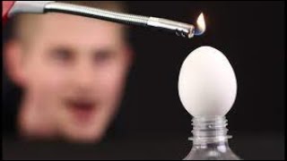 Top 10 Egg tricks and science experiments from Mr. Hacker
