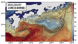 2021年3月11日までの黒潮「短期」予測