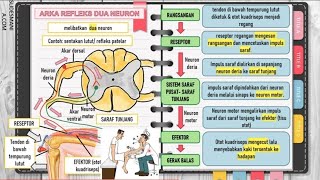 12.4 TINDAKAN TERKAWAL & TINDAKAN LUAR KAWAL & 12.5 ISU KESIHATAN BERKAITAN SISTEM SARAF MANUSIA