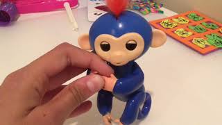 FAKE Fingerlings Monkeys Review!