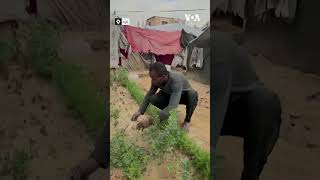 Gazan father digs a pit under tent to protect children from Israeli strikes