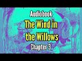 The Wind in the Willows: Chapter 3