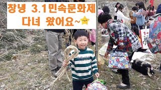 육아 브이로그) 창녕 민속문화제 체험 / 영산 전통줄다리기 / 삼일절 민속놀이