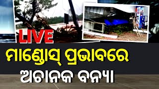 LIVE | Cyclone Mandous | ତାମିଲନାଡୁରେ ବନ୍ୟା, ବାତ୍ୟା ମାଣ୍ଡୋସର ତାଣ୍ଡବ | Odia News