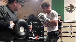 DAMN! CANELO BEATING THE CRAP OUT OF THE PADS IN PREP FOR GGG REMATCH