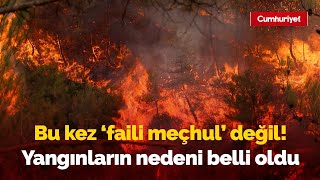 Datça ve Çeşme’de çıkan yangınlar 'faili meçhul' değil! Ormanlar yangınlara feda edildi