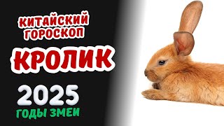 Кролик - Китайский гороскоп на 2025 год | Гороскоп по году рождения на 2025 год