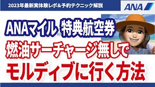 シンガポール＆モルディブ旅行に最適！燃油サーチャージなしのお得予約術