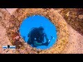 Pro Dive Mauritius - Ocean Power