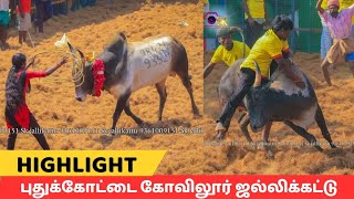 அனல் பறக்கும் 🔥 புதுக்கோட்டை மாவட்டம் கோவிலூர் ஜல்லிக்கட்டு highlight videos