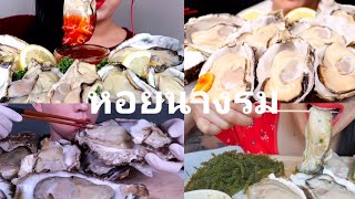 Asmr หอยนางรม 🐚 รวมกินตอน6 รวมกินหอยนางรม ตัวใหญ่สดๆหวานๆ Raw Oysters Eating show คนจีนกินโชว์ep.57