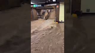 黑色暴雨警告 - 今次 ‘’ 黃大仙 ‘’ 都未必救到黃大仙港鐵站 - Black Rainstorm Warning of Hong Kong