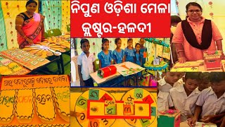 Cluster Level Nipun Odisha Mela /Haldi Cluster /TLM mela