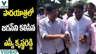 Director SV Krishna Reddy Meet YS Jagan in Padayatra - Vaartha Vaani