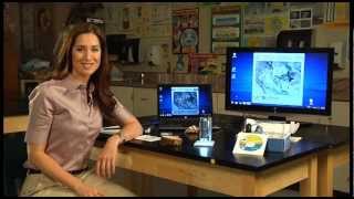 SmartMicroScope 5M