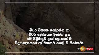 නවසීලන්තයේ තට්ටු දෙකේ බස් හතරක් ගැඹුරු ආගාධයක්