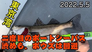 【2022.5.5】二度目のボートシーバス！結果は微妙…【東京湾】