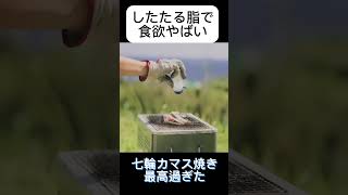 ジグサビキで釣れたカマスを七輪で塩焼きにする #カマス #七輪 #塩焼き #ジグサビキ