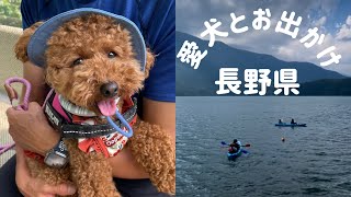 【長野・白馬】犬のパワースポットに行ってきたよ！