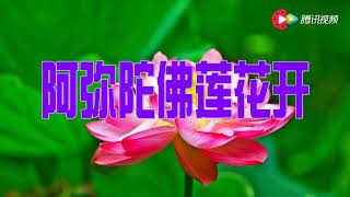 阿弥陀佛蓮花开