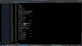 TryHackMe PWN101 Writeup (pwn101 and pwn102)