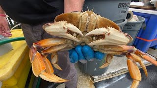 CA's commercial Dungeness crab season delayed until at least mid-December, officials say