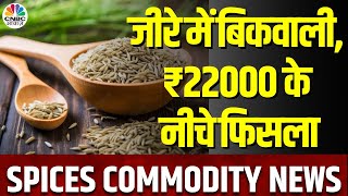 Cumin News | आखिर जीरे में इतनी गिरावट के क्या है कारण, आगे के Outlook पर खास बातचीत | Spices