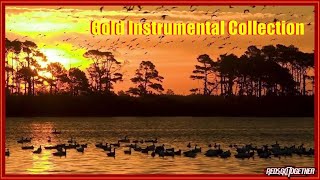 VA   GOLD INSTRUMENTAL COLLECTION Vol 1