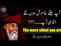 NovembeMaulana Rumi Silence Quotes In Urdu |The More Silent You Are | مولانا رومی