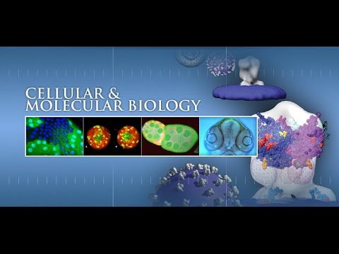 Molecular And Cellular Biology Lecture: #1 - YouTube