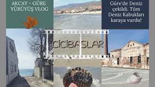 Güre'de Deniz Çekildi (Deniz kabukları karaya vurdu)🦪 Muhteşem Sokaklarla Akçay - Güre Yürüyüşümüz