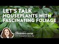 Let's Talk Houseplants with Fascinating Foliage 🍃 Houseplant Guru Joy at The Gardener's Center