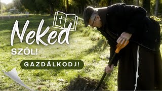 GAZDÁLKODJ! – Neked szól!