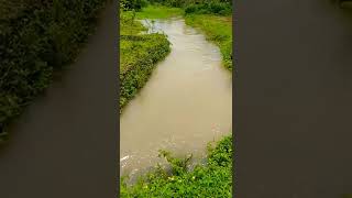 കതിരൂർ മഴക്കാല കാഴ്ചകൾ #travel #culture #creatingforindia #shorts #kadirur #nature #monsoon