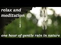 relax and meditation. one hour of gentle rain in nature