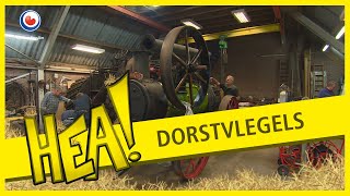 HEA! De Dorstvlegels